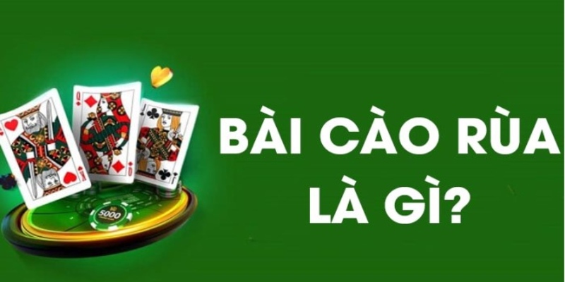 Bí Quyết Chơi Bài Cào Rùa Hiệu Quả Từ Cao Thủ 1 bài cào rùa qq88